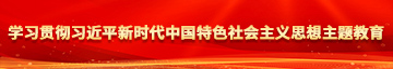 岛国另类日屄视频学习贯彻习近平新时代中国特色社会主义思想主题教育